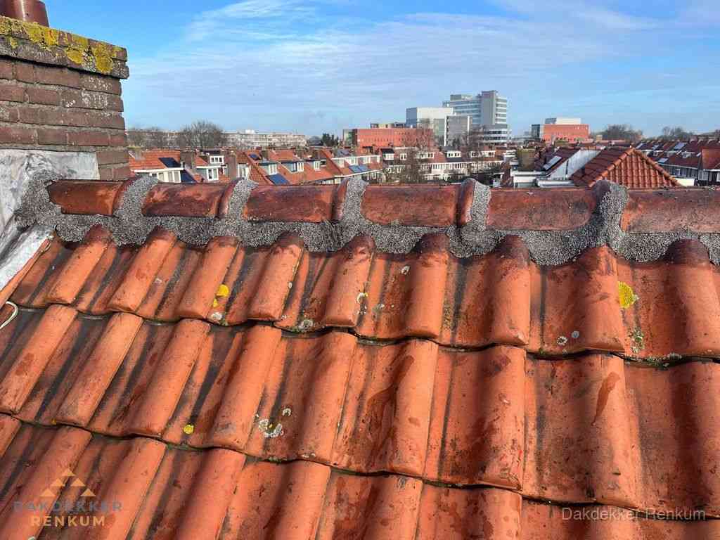 Renkum Daken Renoveren Renkum Daken Renoveren